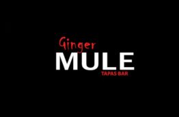 The Ginger Mule